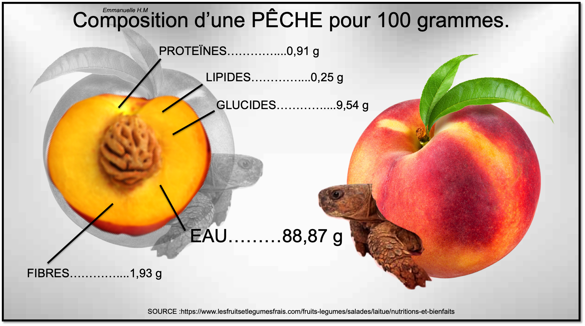 Composition Des Fruits Fraise Melon Pêche Pastèque Framboise